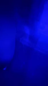 和骚货在私人泳池 水下偷情