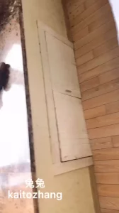 黑丝美脚秘书加长版